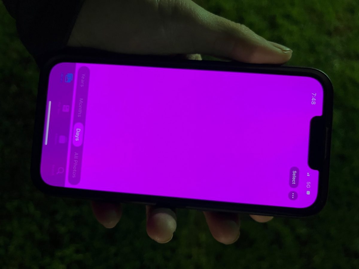 iPhone 13 Pro różowy ekran problem bug