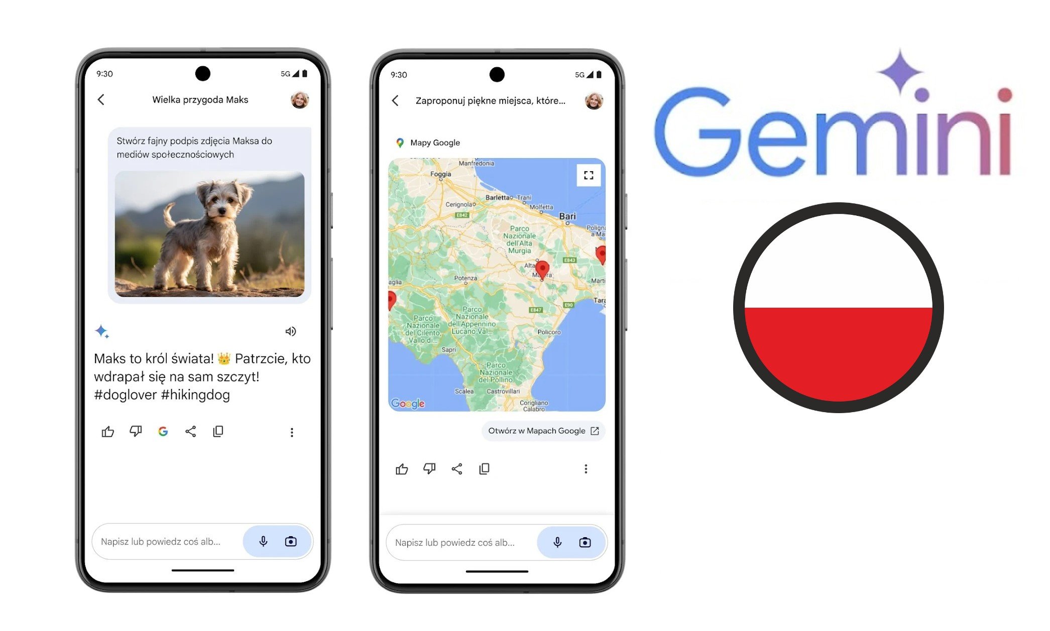 Google Gemini w Polsce
