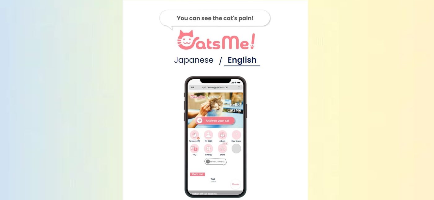 aplikacja catsme ai pomoc koty
