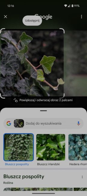 Funkcje AI w Google Pixel 9 