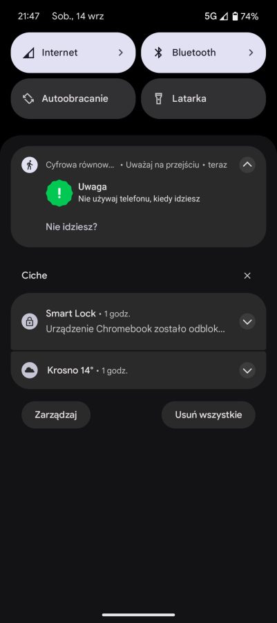 Funkcja Uważaj na przejściu w Google Pixel 9