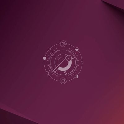 Ubuntu 24.10 Linux