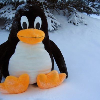 Linux pingwin śnieg zima